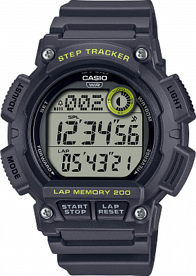 Наручные часы Casio WS-2100H-8A