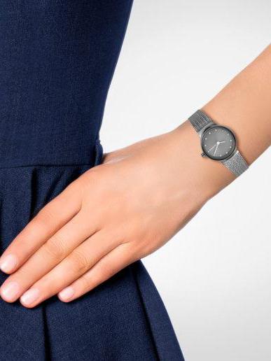 Skagen Steel Women SKW2700
