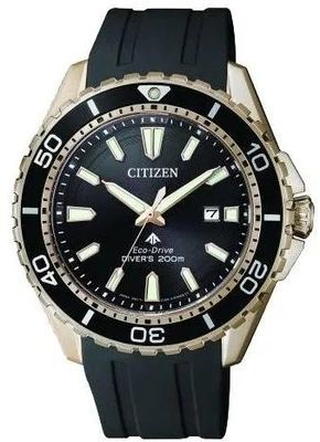 Citizen BN0193-17E