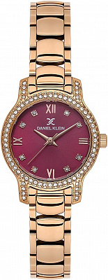Наручные часы Daniel Klein 14118-6
