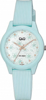 Наручные часы Q&Q V01AJ010Y