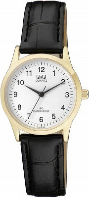 Наручные часы Q&Q C213J104Y