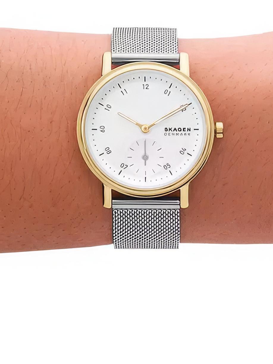 Skagen SKW3101