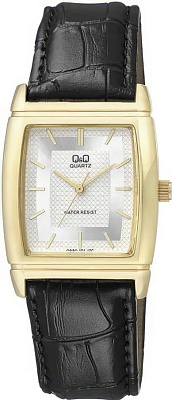 Q&Q Casual Q880J101Y