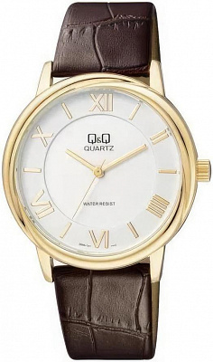 Наручные часы Q&Q Q896J107Y