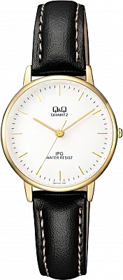 Наручные часы Q&Q QZ01J101Y