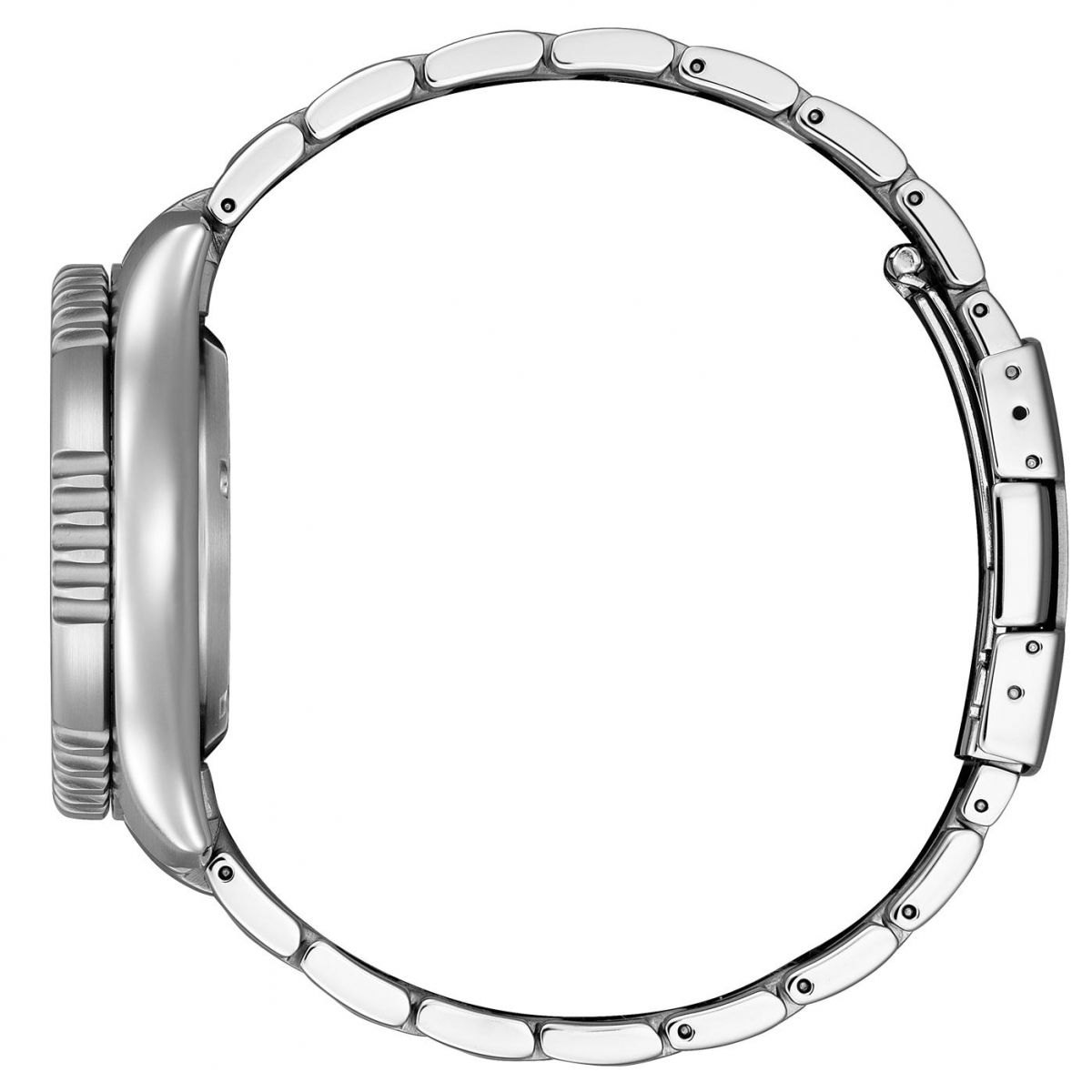 Citizen Promaster Marine NY0160-66E