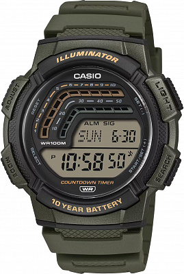 Наручные часы Casio WS-1800-3A