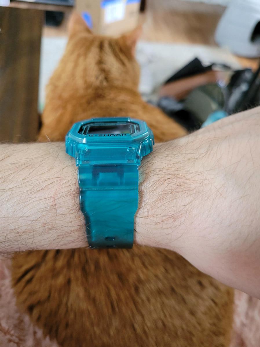 Casio DW-B5600G-2E