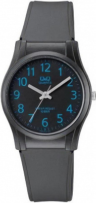 Наручные часы Q&Q VQ02J013Y