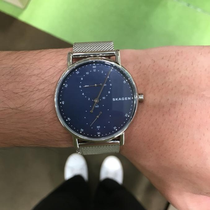 Skagen skw6389 sale