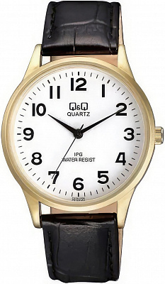 Наручные часы Q&Q C214J104Y