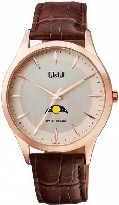 Наручные часы Q&Q AA30J101Y