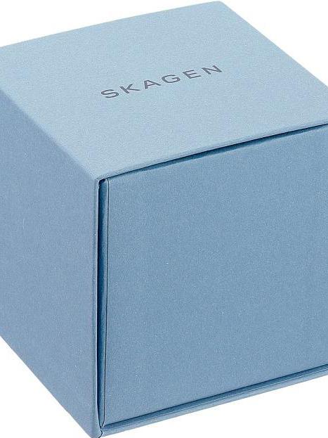 Skagen Leather SKW6430