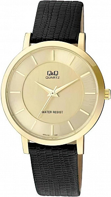 Наручные часы Q&Q Q944J100Y
