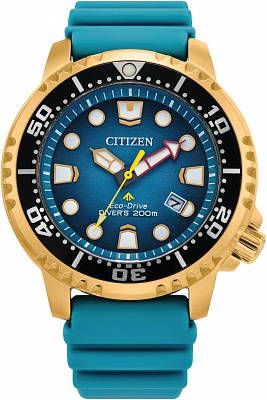 Наручные часы Citizen BN0162-02X