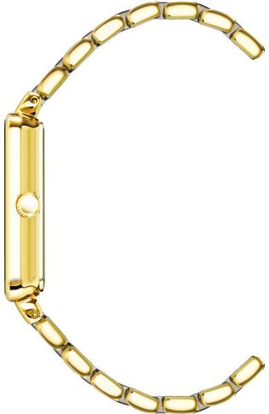 Anne Klein 3668GNGB