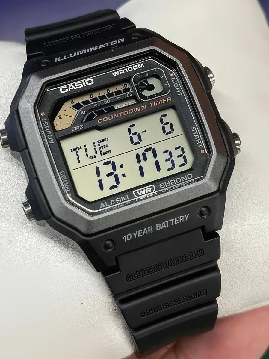 Casio WS-1600H-8A