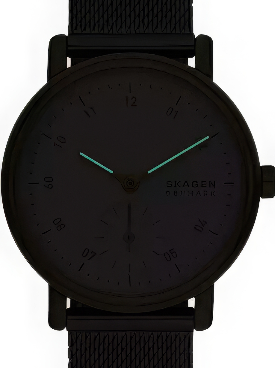 Skagen SKW3101