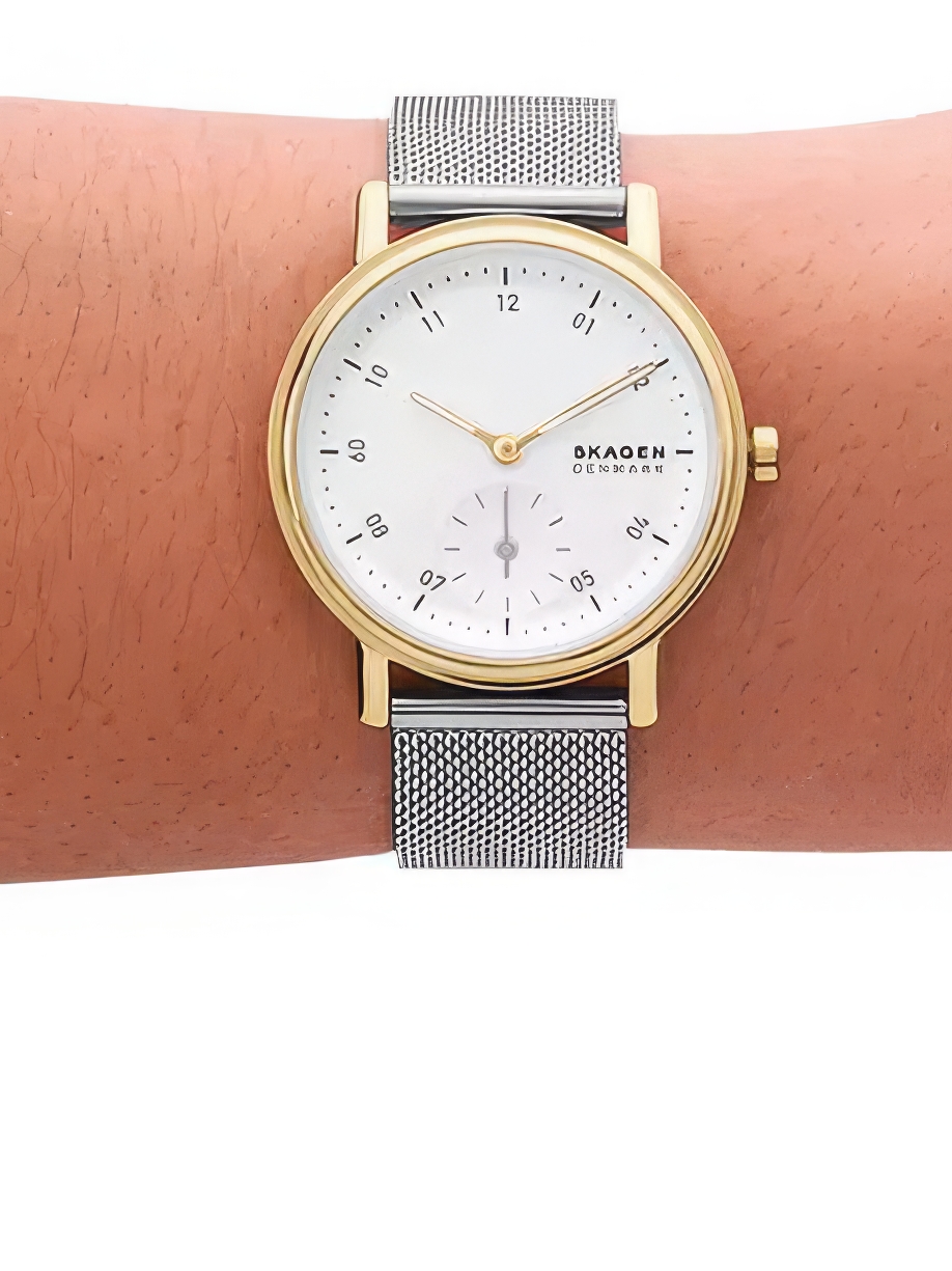 Skagen SKW3101