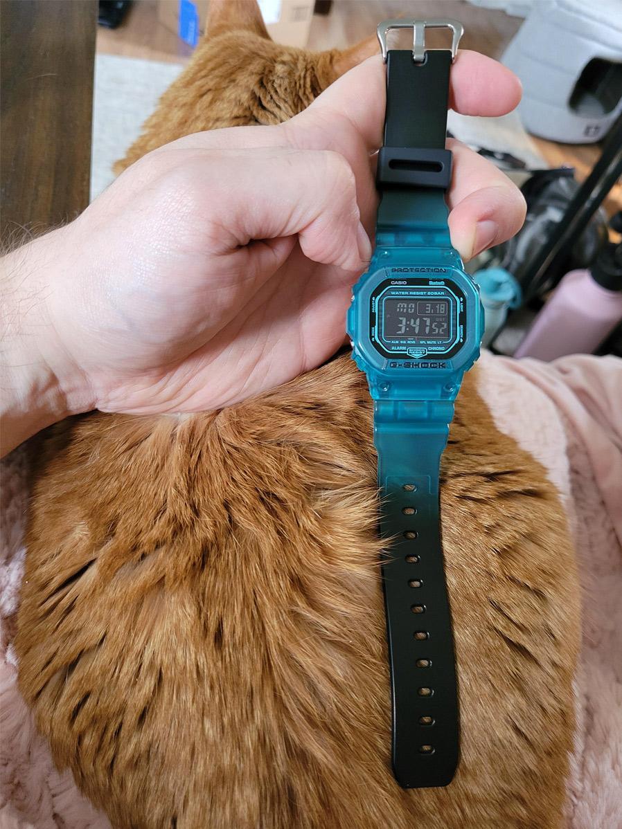 Casio DW-B5600G-2E