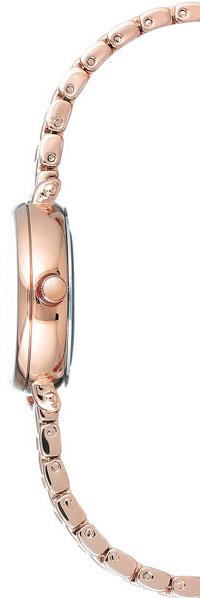 Anne Klein 2662SVRG