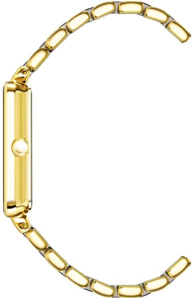 Anne Klein 3668GNGB