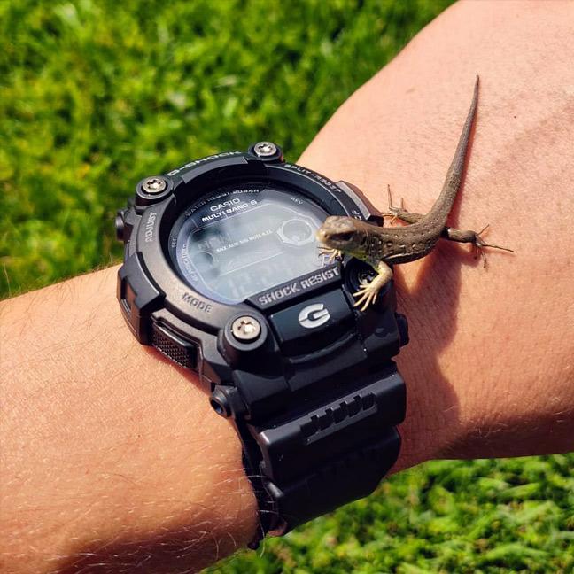 Casio GW-7900B-1E