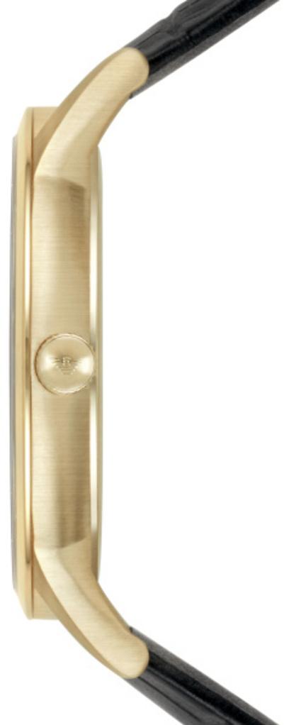 Emporio Armani AR11049