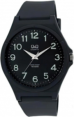 Наручные часы Q&Q VQ66J005Y
