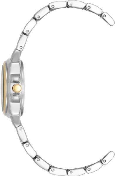 Anne Klein 4167WTTT