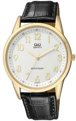 Наручные часы Q&Q Q886J104Y