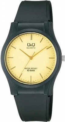 Наручные часы Q&Q VQ02J002Y
