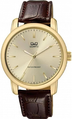 Наручные часы Q&Q Q868J100Y